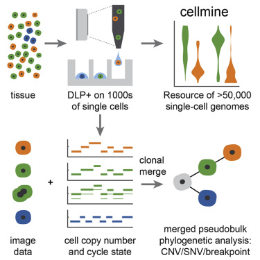 Single Cell Sequencing